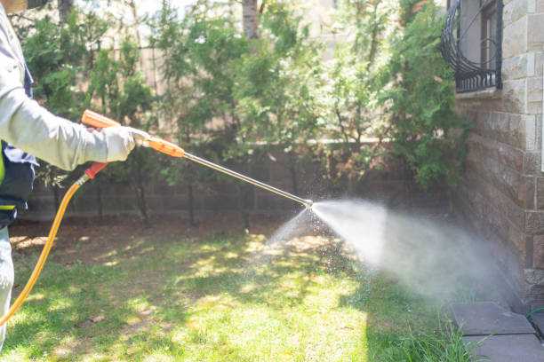 Best Affordable Pest Control Services  in Rainier, WA