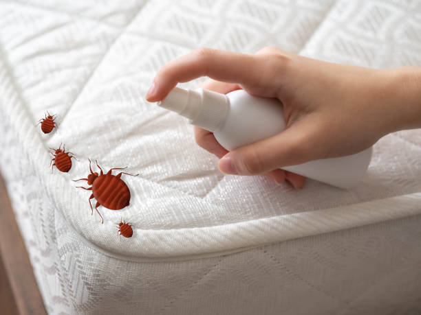 Best Exterminator Services  in Rainier, WA