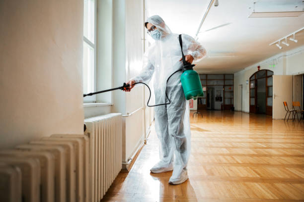 Best Affordable Pest Control Services  in Rainier, WA