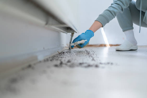 Best Wasp Removal Services  in Rainier, WA